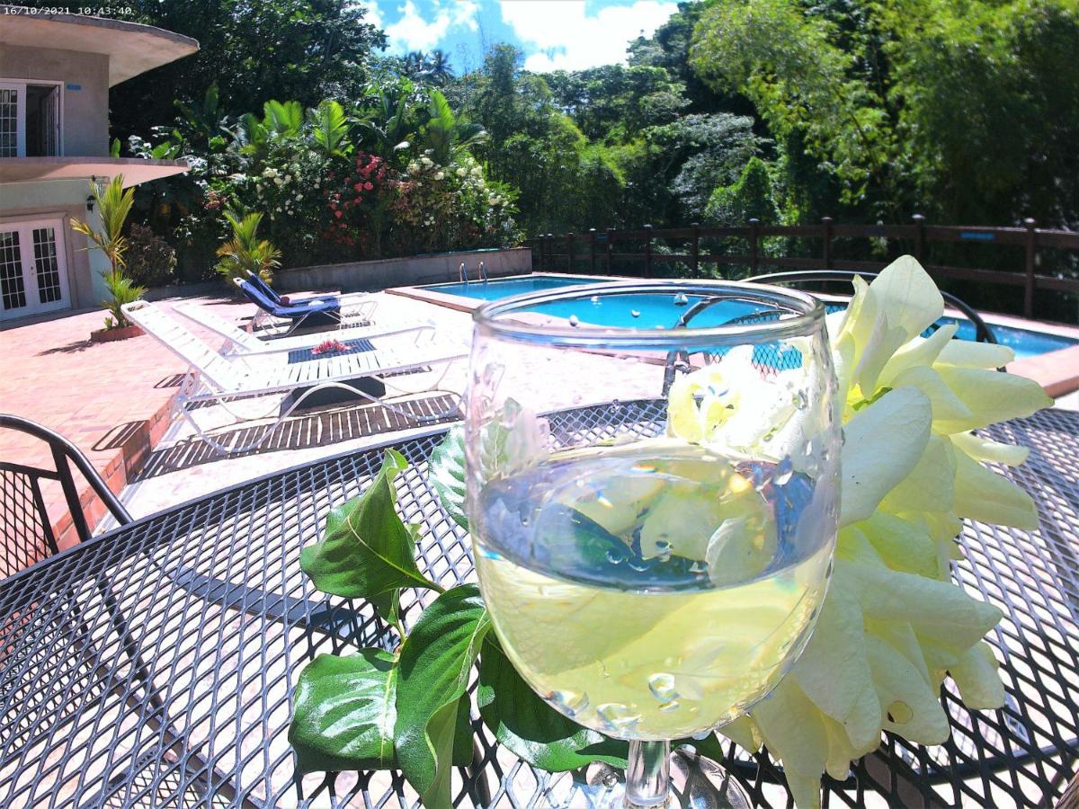 Toraille Waterfall Poolside Apartment Soufrière Eksteriør bilde