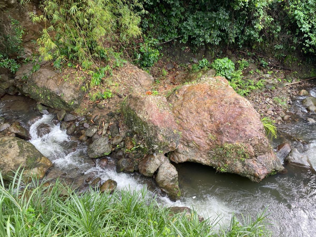 Toraille Waterfall Poolside Apartment Soufrière Eksteriør bilde