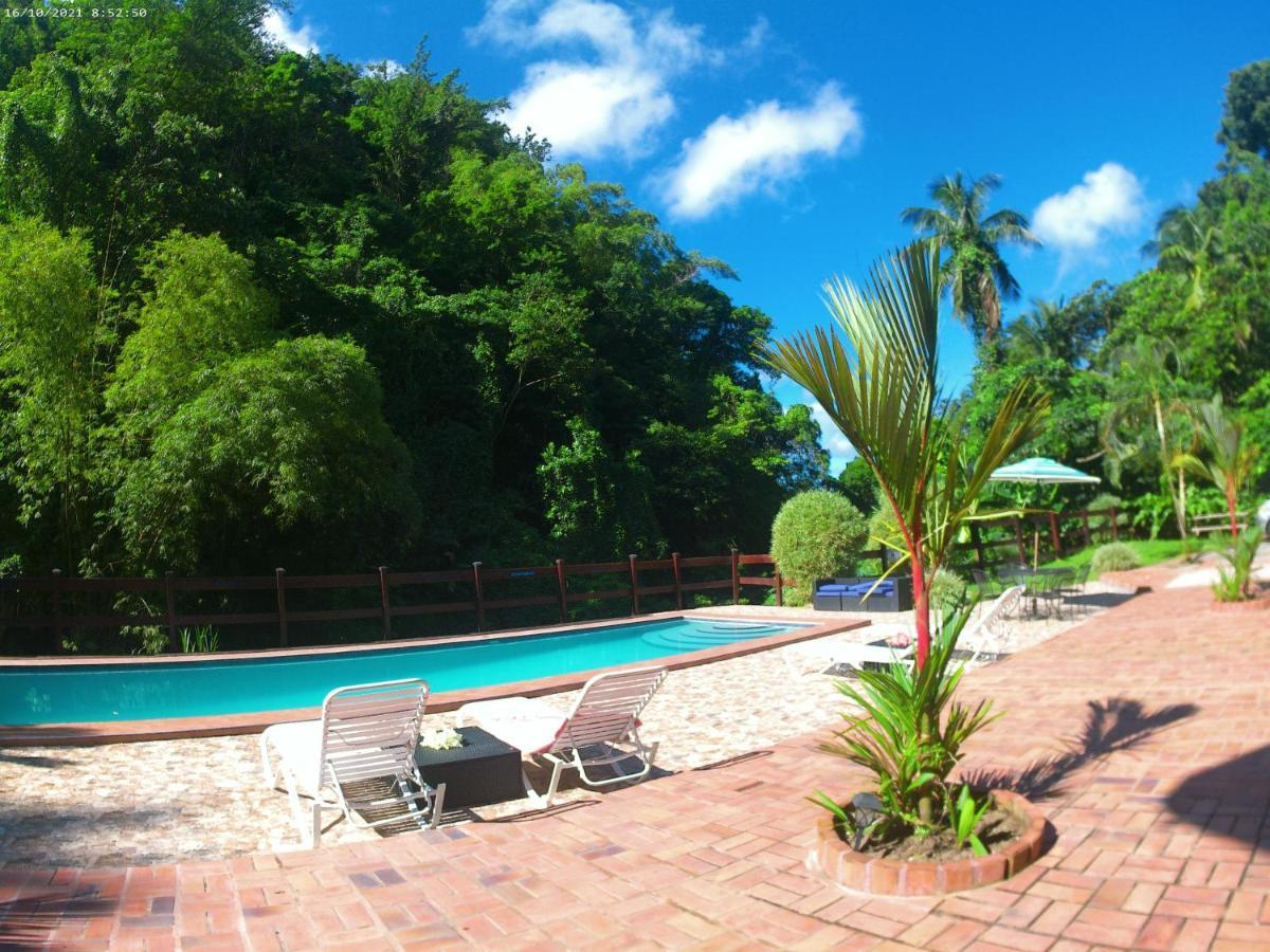 Toraille Waterfall Poolside Apartment Soufrière Eksteriør bilde