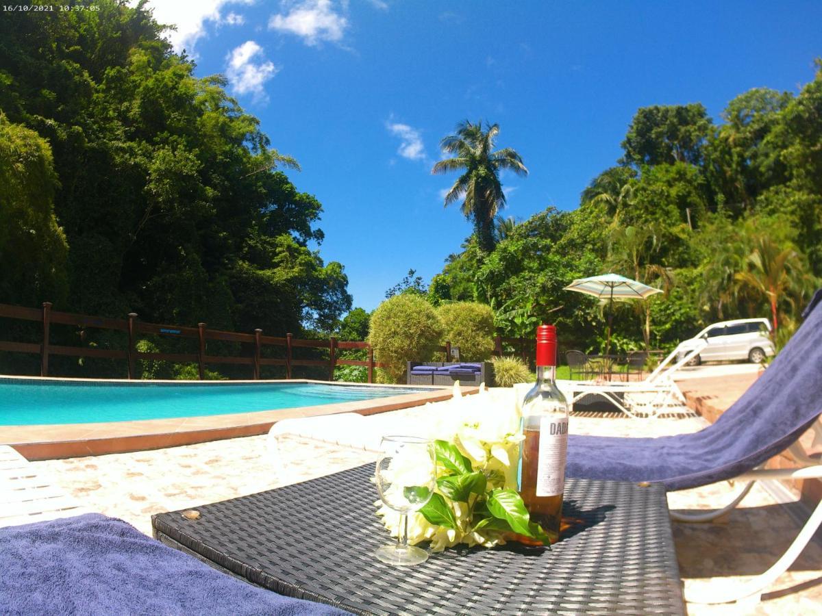 Toraille Waterfall Poolside Apartment Soufrière Eksteriør bilde