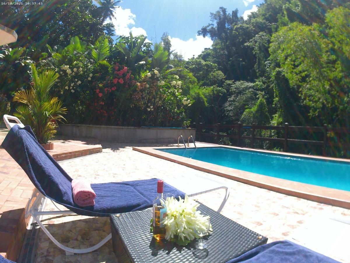 Toraille Waterfall Poolside Apartment Soufrière Eksteriør bilde